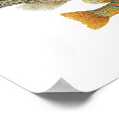 Sunfish Art Poster (Hoek)