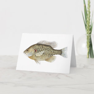 Sunfish Groeten Kaart
