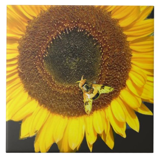 SUNFLOWER AND HONEY BEE ,BEEKEEPING, BEEKEPER TEGELTJE (Voorkant)