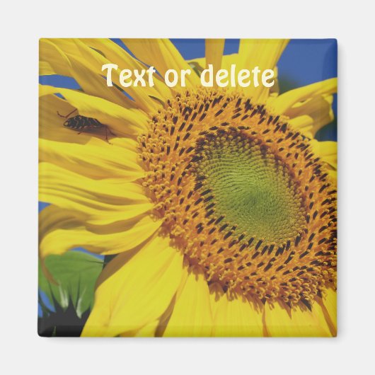 Sunflower And Insect Guest Personalized Magneet (Voorkant)