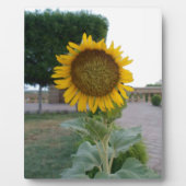 Sunflower Art Print Product aanpassen Fotoplaat (Voorkant)