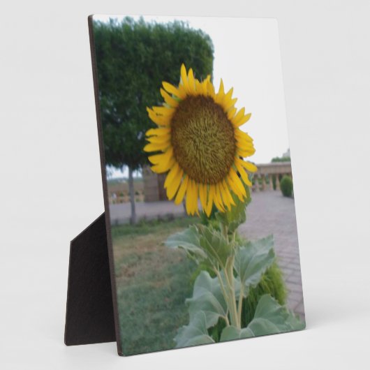 Sunflower Art Print Product aanpassen Fotoplaat (Zijkant)