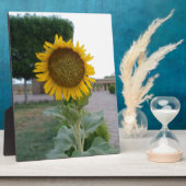 Sunflower Art Print Product aanpassen Fotoplaat (Zijkant)