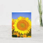 Sunflower Beauty Bedankkaart (Voorkant)