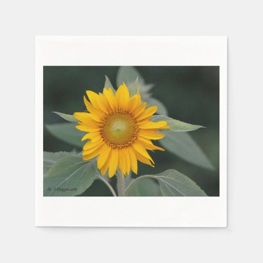 Sunflower Beauty Servet (Voorkant)