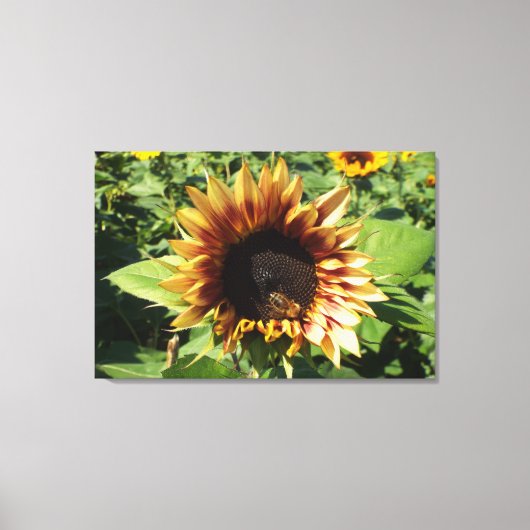 Sunflower Bee Canvas Afdruk (Voorkant)