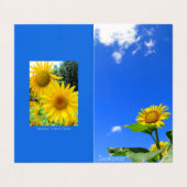 Sunflower：Bi-fold card Kaart (Buitenkant ongevouwen)