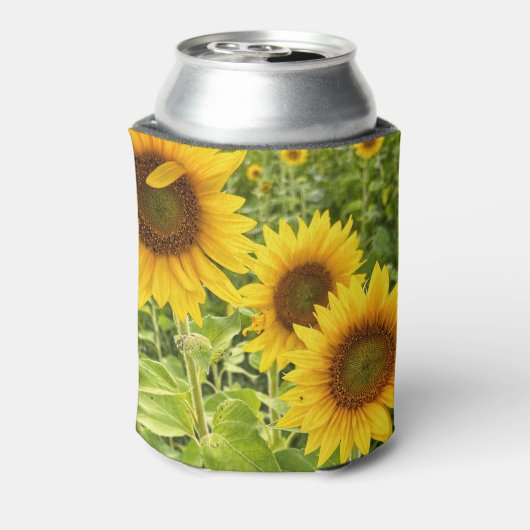 Sunflower blikjeskoeler (Blikje Achterkant)