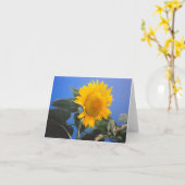 Sunflower Blue Sky Kaart (Gele Bloem)