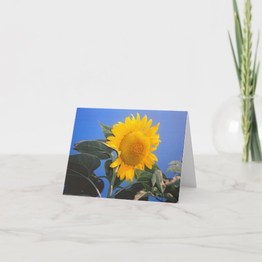 Sunflower Blue Sky Kaart (Voorkant)