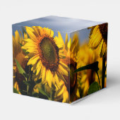 Sunflower Blue Sky Rustic Wedding Bedankdoosjes (Achterkant)