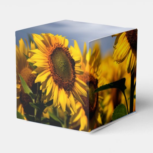 Sunflower Blue Sky Rustic Wedding Bedankdoosjes (Achterkant)