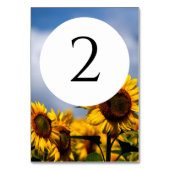 Sunflower Blue Sky Rustic Wedding Kaart (Achterkant)