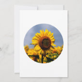 Sunflower Blue Sky Rustic Wedding Save The Date (Achterkant)
