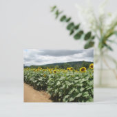 Sunflower Boerderij New Jersey Briefkaart (Staand voorkant)