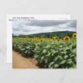 Sunflower Boerderij New Jersey Briefkaart (Voorkant / Achterkant)