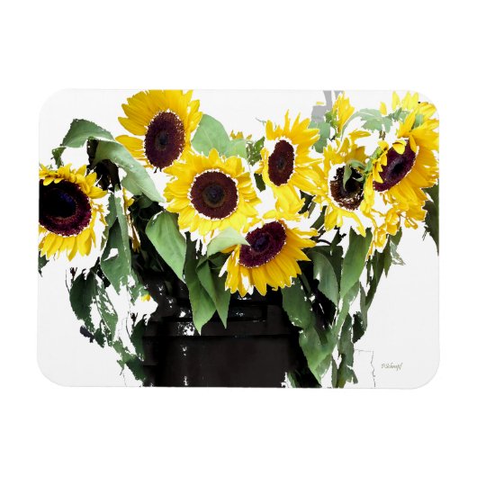 Sunflower Bouquet Magneet (Horizontaal)