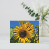 Sunflower Briefkaart (Staand voorkant)