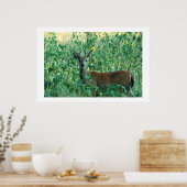 Sunflower Buck Poster (Keuken)