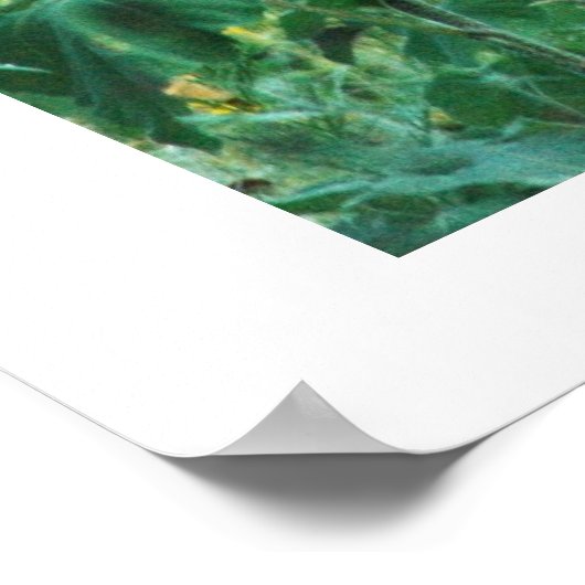 Sunflower Buck Poster (Hoek)