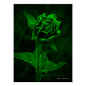 "Sunflower Bud"  Perfect Poster (Voorkant)