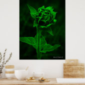 "Sunflower Bud"  Poster (Keuken)