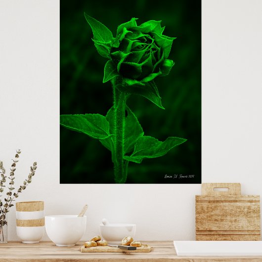 "Sunflower Bud"  Poster (Keuken)