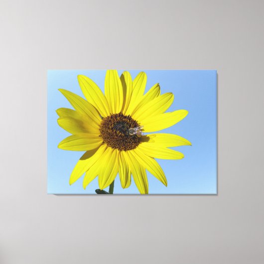 Sunflower Canvas (Voorkant)