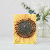 Sunflower Close-up Foto Briefkaart (Staand voorkant)