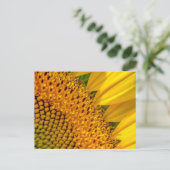 Sunflower Close-up Foto Briefkaart (Staand voorkant)