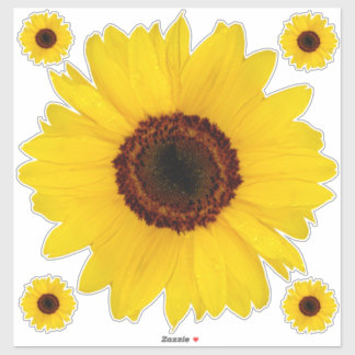 Sunflower Contour Sticker Bonus