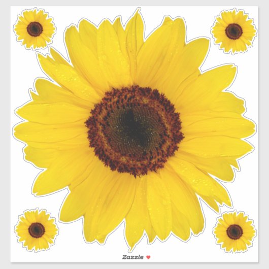 Sunflower Contour Sticker Bonus (Vel)
