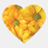 Sunflower Dreams Stickers that Smile Back (Voorkant)