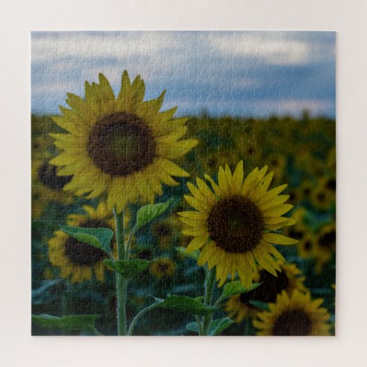 Sunflower Duo Sluiten Legpuzzel (Verticaal)
