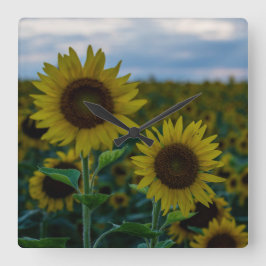 Sunflower Duo Sluiten Vierkante Klok
