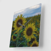 Sunflower Duo Sluiten Vierkante Klok (Hoek)