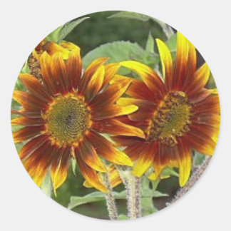 SunFlower Duo Stickers
