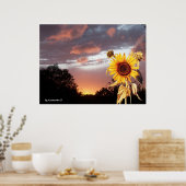 SUNFLOWER EN PINK SUMMER SUNSET POSTER (Keuken)