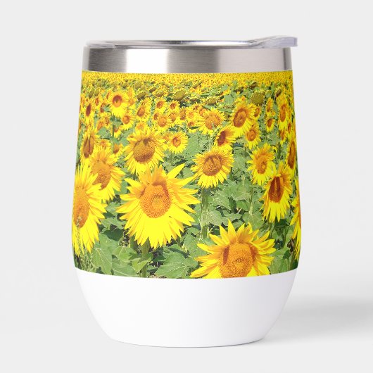 Sunflower field (Links)
