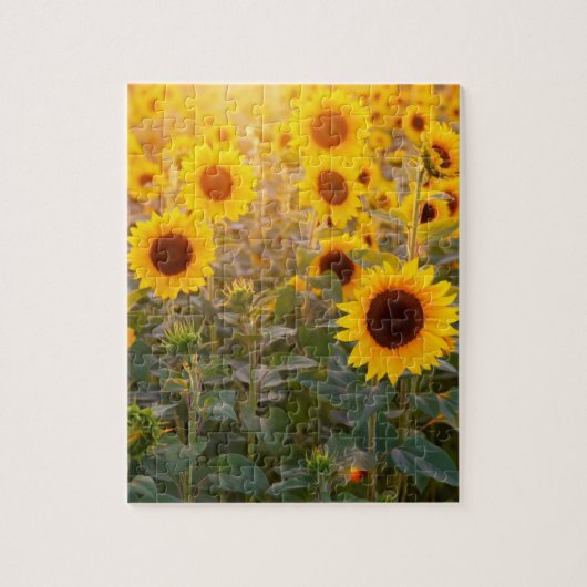 SUNFLOWER FIELD 8X10 JIGSAW PUZZLE LEGPUZZEL (Verticaal)