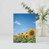 Sunflower field briefkaart (Staand voorkant)