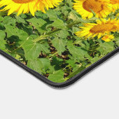 Sunflower field bureaumat (Hoek)