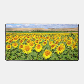 Sunflower field bureaumat