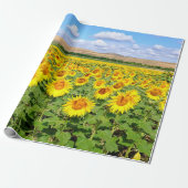 Sunflower field cadeaupapier (Uitgerold)