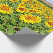 Sunflower field cadeaupapier (Hoek)