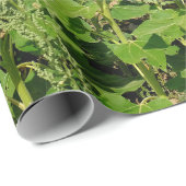Sunflower field cadeaupapier (Rol Hoek)