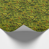 Sunflower field cadeaupapier (Hoek)