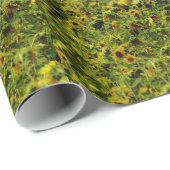 Sunflower field cadeaupapier (Rol Hoek)