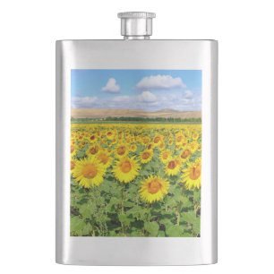 Sunflower field flacon