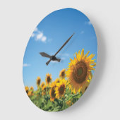 Sunflower field grote klok (Hoek)